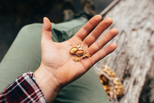 Hiker Holding Cracked Peanut Shell In Palm Of Hand