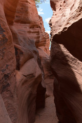 Wire Pass Slot Canyon 13