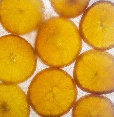 plasterki pomarańczy zamrożone w lodzie - obrazy, fototapety, plakaty