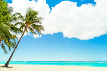 Tropical island white sand beach in Hawaii. 