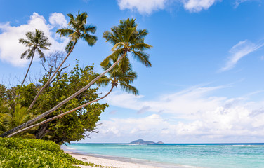 Tropical beach on Silhouette island, Seychelles