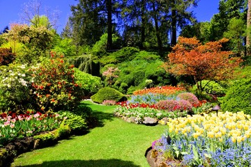 Butchart Gardens, Victoria, Canada. Colorful flowers of the sunken garden during spring.