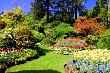 No drill roller blinds Garden Butchart Gardens, Victoria, Canada. Colorful flowers of the sunken garden during spring.
