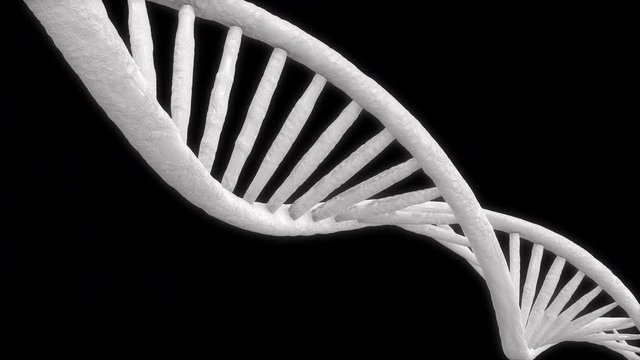 DNA 4K - ALPHA CHANNEL