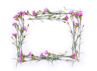 Obraz na płótnie Canvas Frame of delicate flowers. Spring pink flowers on white background. View from above, flat lay, top view