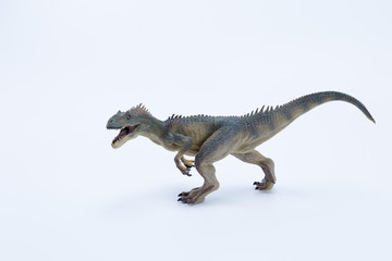 Allosaurus dinosaur roaring and in attack position with white background