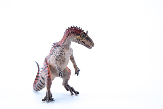 Cryol Ophosaurus dinosaur in attack position with white background