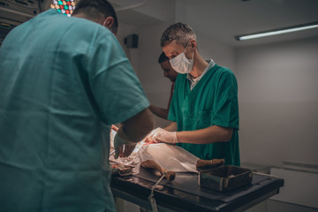 It's All about Saving Lives