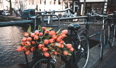 Bike with tulips