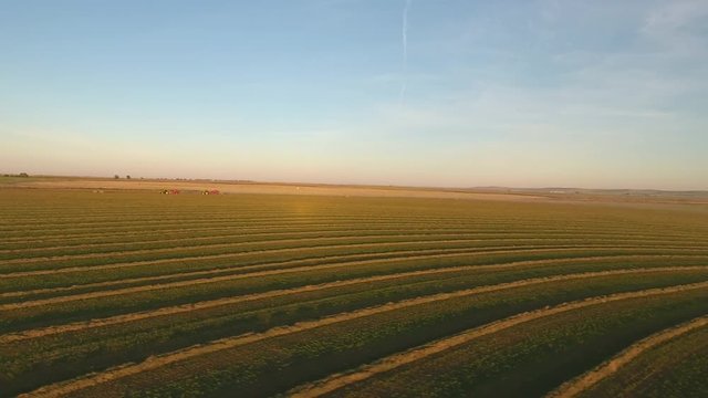 Aerial ws of swathed alfalfa field with hay balers in distance