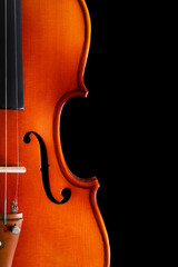 Violin On Black Background