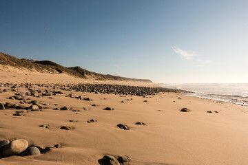 portugal costa vicentina sand dunes ocean beach - 195251811