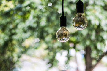 Turned off Edison lamps on green blurry background