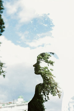 Silhouette of a woman with trees and sky