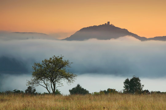 Drachenfels Im Nebel, Deutschland