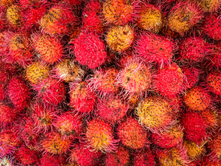 A display of freshly picked lychee fruit. Bright red pink yellow colors with prickly skin. Tropical...