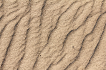 Sandy background, texture of an arid sand desert