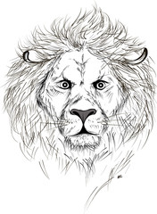 Vector Black and White Tattoo Lion Illustration isolated