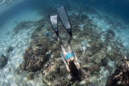 Female freediver swimming over the coral reef underwater