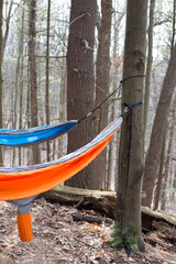 two hammocks tied to a tree