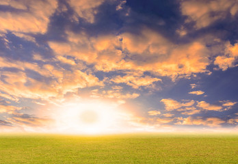 The green lawn with a beautiful blue sky during the morning or evening. Golden light of the sunset