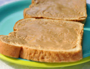 Peanut Butter Sandwich 