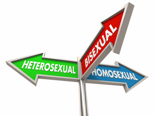 Heterosexual Homosexual Bisexual 3 Way Road Signs 3d Illustration