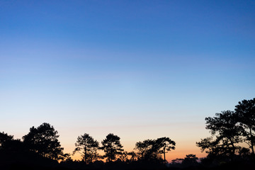 The sunrise on Phu Kradueng National Park, Thailand
