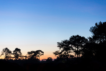 Fototapeta na wymiar The sunrise on Phu Kradueng National Park, Thailand
