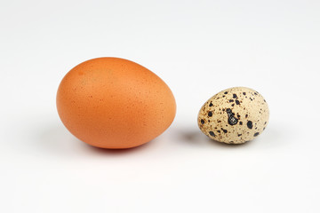 chicken and quail eggs close on a white background