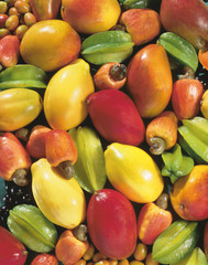 frutas tropicais do Brasil