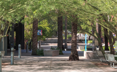 Walkway leads to a gathering space with 3 large trees