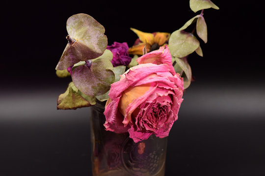 Dried roses with green leaves