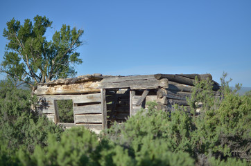 old timer's cabin