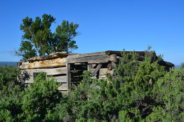 Old log building in vegetation