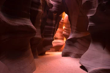 Foto op Plexiglas Sunlight streaming into a slot canyon  © Bruce