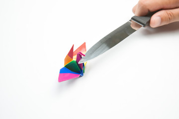 Search Photos Origami Bird