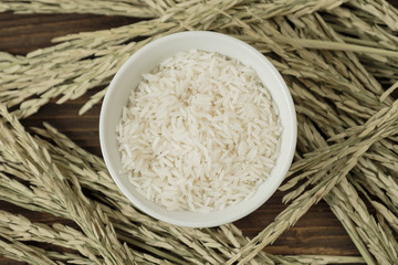 Rice in white bowl on yellow rice plant background.