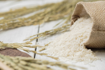Rice and poured from sack  with yellow rice plant on wooden background.