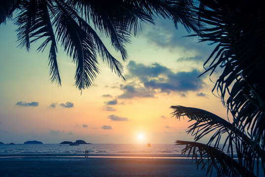 Sunset on the tropical sea beach with silhouette of palm leaves.