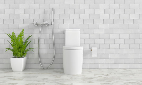 toilet and ornamental plants, 3D rendering