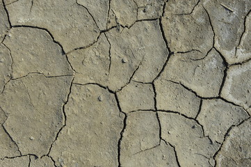 Dry soil cracking