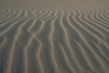Ripples in sand