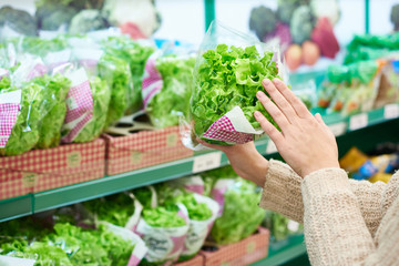 Woman chooses green leaf salad in grocery store © Sergey Ryzhov