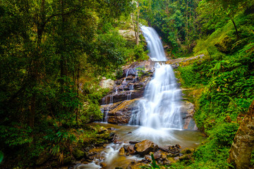 Fototapeta premium Water fall scenery wildlife at Doi Inthanon, Chiang Mai Province, Thailand