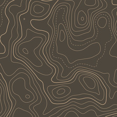 topographic contour map elevation background