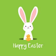 Cute Easter Bunny Holding Orange Easter egg on Green background , Happy Easter card vector illustration