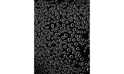 bubbles, water, vector, background, bubble, white, blue, transparent, illustration, air, liquid, aqua, soap, design, reflection, nature, abstract, foam, texture, soda, circle, ball, round, realistic, 