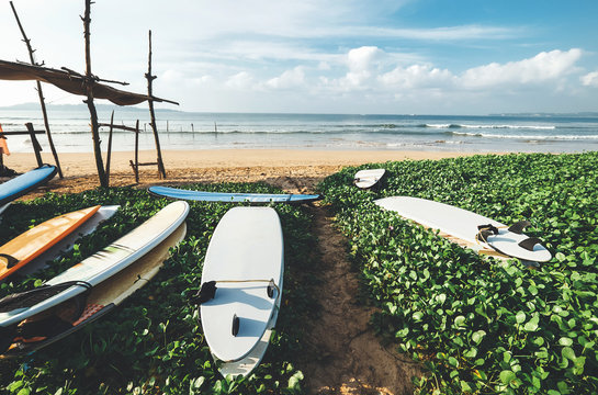Surfboards are on the beach at erly morning time on the surf point in Sri Lanka