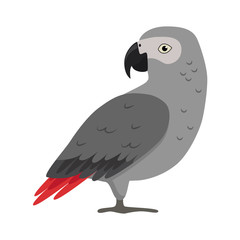 African grey parrot silhouette icon in flat style